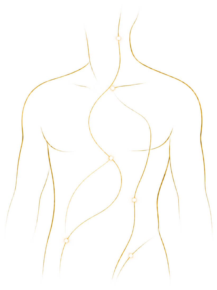 Illustration of acupuncture points and meridian lines on the body